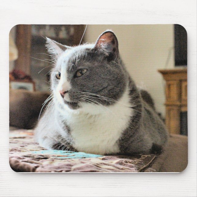 Cat Mouse Mat (Front)