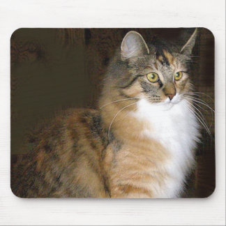 cat mouse mat