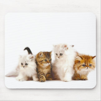 CAT MOUSE MAT