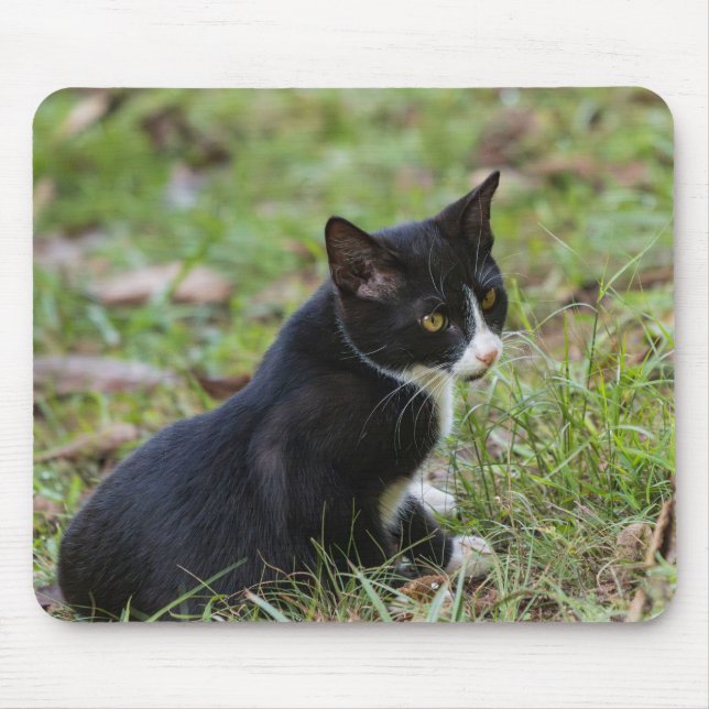 Cat Mouse Pad (Front)