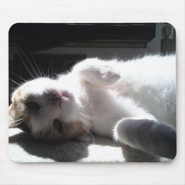 Cat Mouse Pad! Mat (Front)