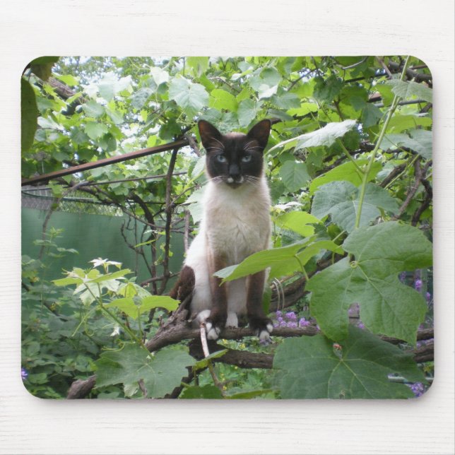 Cat mousepad (Front)