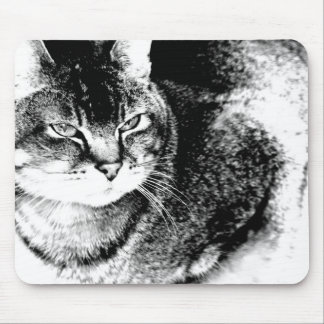 Cat Mousepad