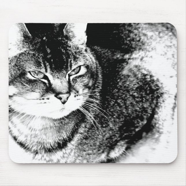 Cat Mousepad (Front)