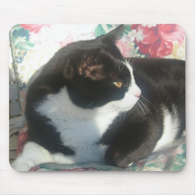 Cat Mousepad (Front)