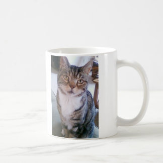 Cat Mug