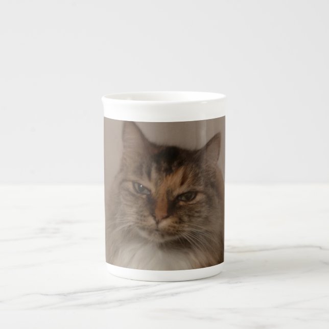 Cat Mug (Front)