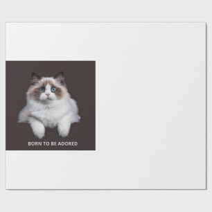 Cat Mug - Born To Be Adored Wrapping Paper