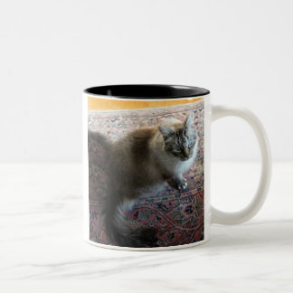 Cat mug with verse...In a cat's loving eye...