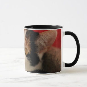 Cat Mug - World's Best Cat Mum