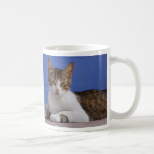 Cat Mugs