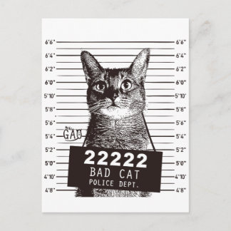 cat mugshot postcard