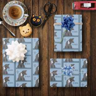 Cat Mum Adoption Mother's Day Wrapping Paper Sheet
