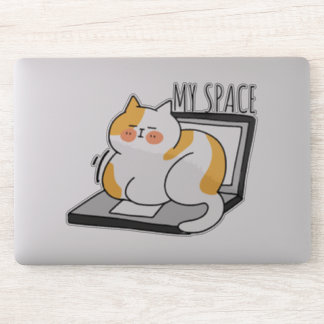Cat My Space