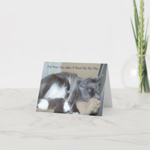 Cat Nap Card