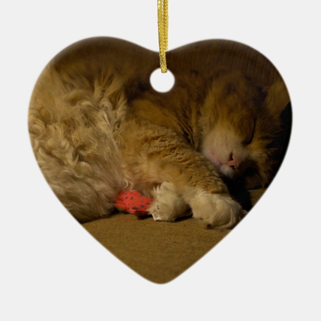Cat Nap Ceramic Tree Decoration (Front)