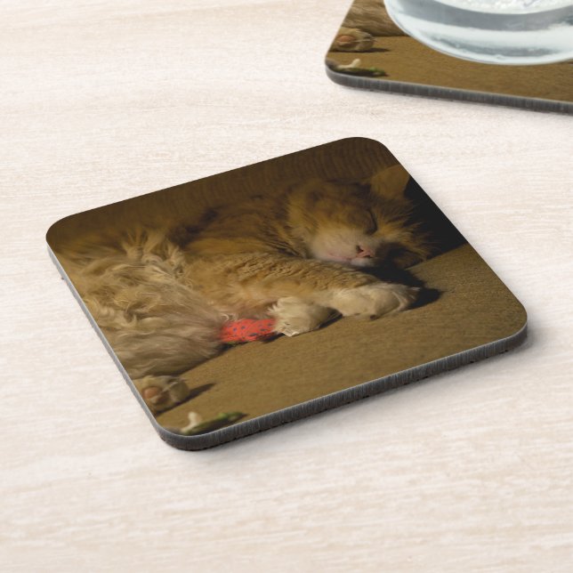 Cat Nap Coaster (Left Side)