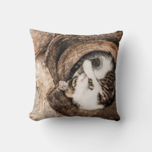 Cat Nap Cushion