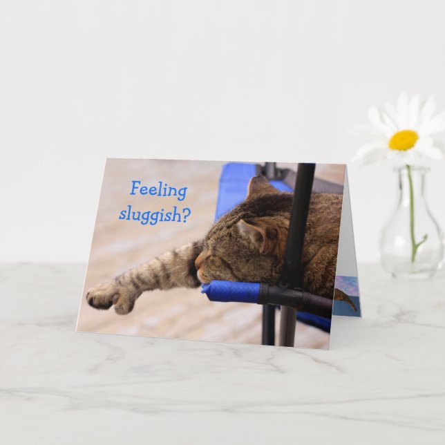 Cat Nap Get Well Card (Small Plant)