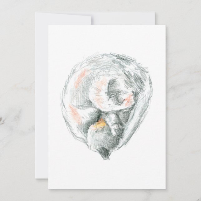 Cat Nap Invitations & Announcements (Front)