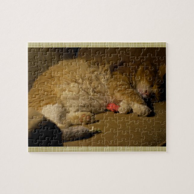 Cat Nap Jigsaw Puzzle (Horizontal)