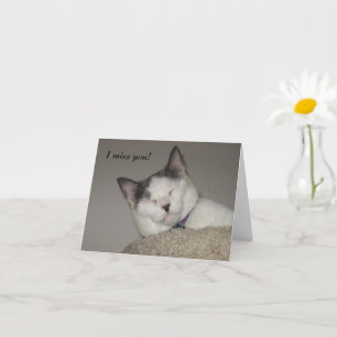 Cat Nap-Missing You  Card