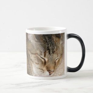 Cat Nap Morph Cup