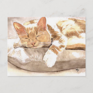 Cat Nap Postcard