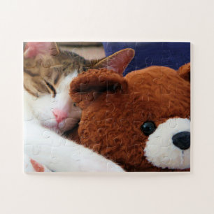 Cat Nap Teddy Jigsaw Puzzle