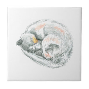 Cat Nap Tile