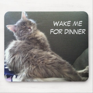 Cat Nap: Wake me for dinner Mouse Mat