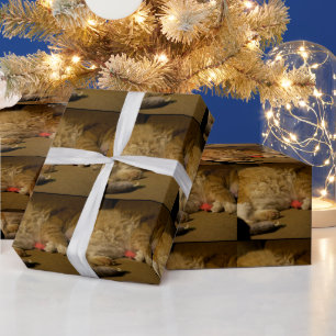 Cat Nap Wrapping Paper
