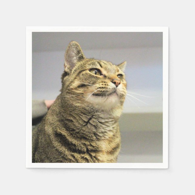 Cat    napkin (Front)