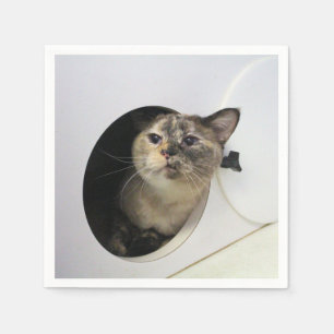 Cat napkin