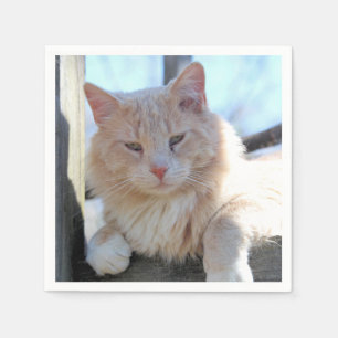 Cat Napkin