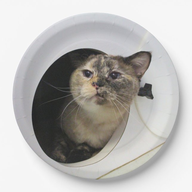 Cat   napkins paper plate (Front)