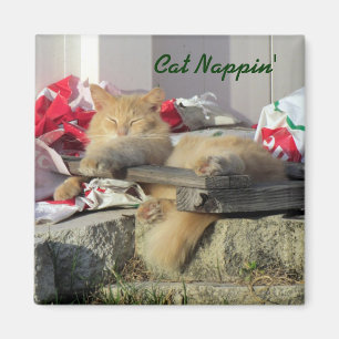 Cat Nappin' Magnet