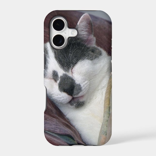 Cat Napping (Back)