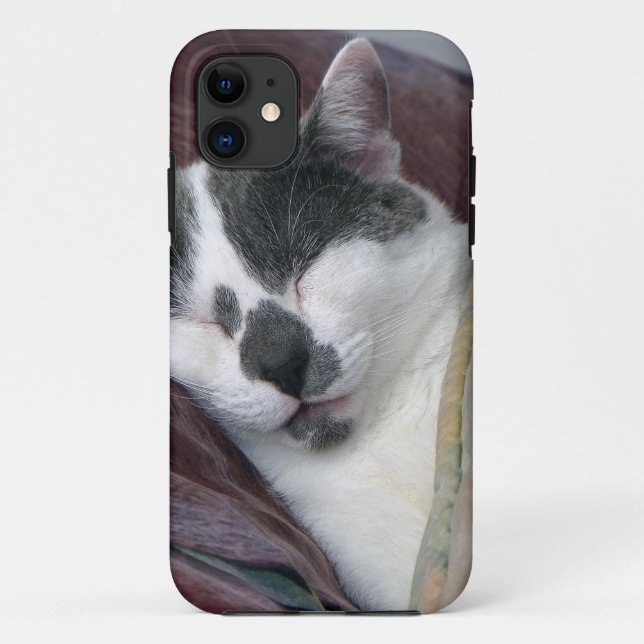 Cat Napping Case-Mate iPhone Case (Back)