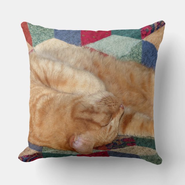 Cat Napping Cushion (Front)