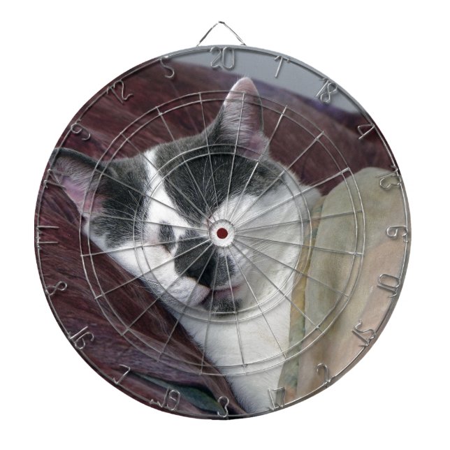 Cat Napping Dartboard (Front)