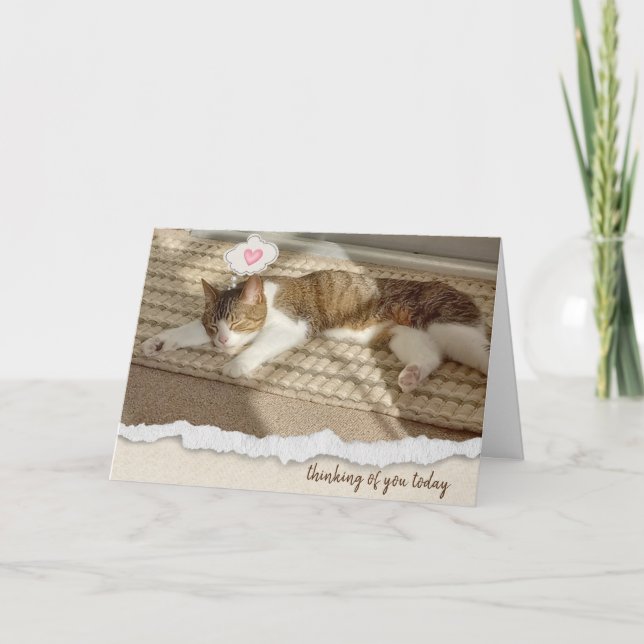 Cat Napping in Sunlight Thinking of You Holiday Card (Front)