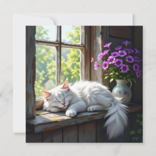 Cat Napping on the Window Sill Blank Card