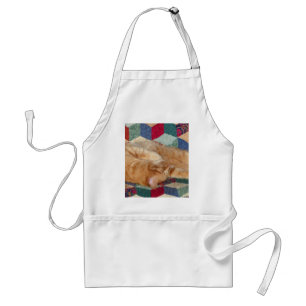 Cat Napping Standard Apron