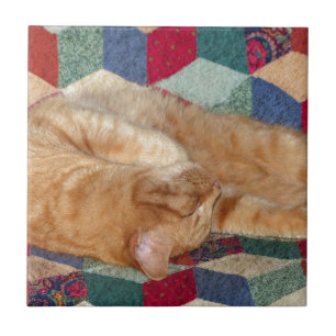 Cat Napping Tile