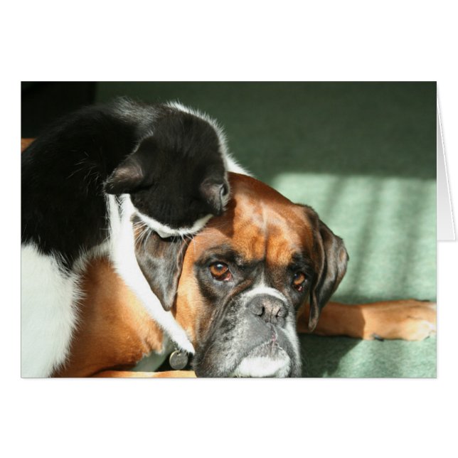 Cat Necklace (Front Horizontal)