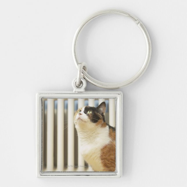 Cat next to radiator key ring (Front)