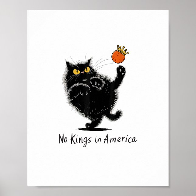 Cat No Kings In America We The People Political Poster (Front)