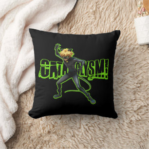 Cat Noir   Cataclysm Cushion