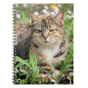 Cat Notebook